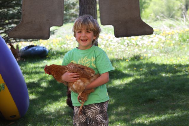 Getting Chicken Eggs From a Neighbor