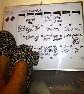 Aspen Blogger Tells Her Story