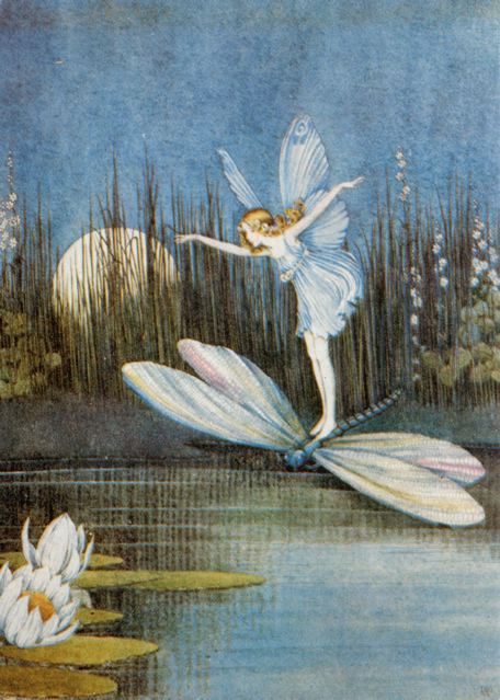 I Saw The Tooth Fairy